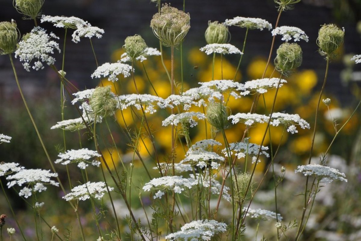Bildrechte Petra Frei Andelsbuch