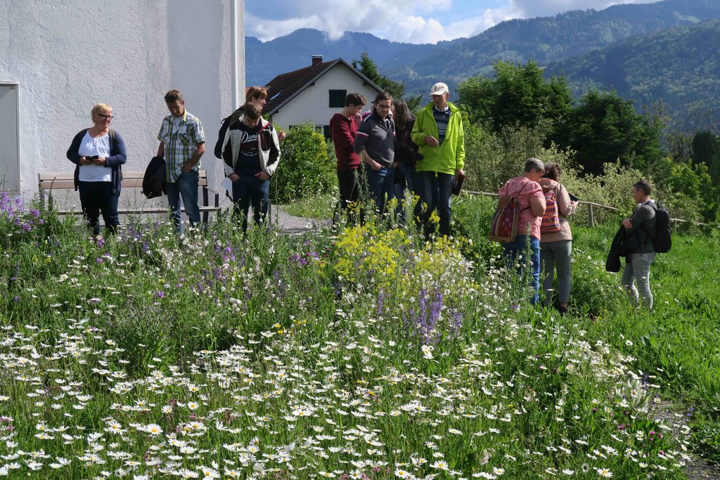 © Bodensee Akademie