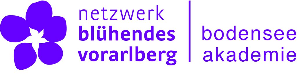 © Bodensee Akademie