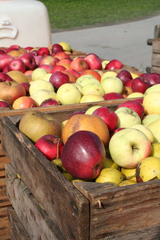 © Ländle Marketing