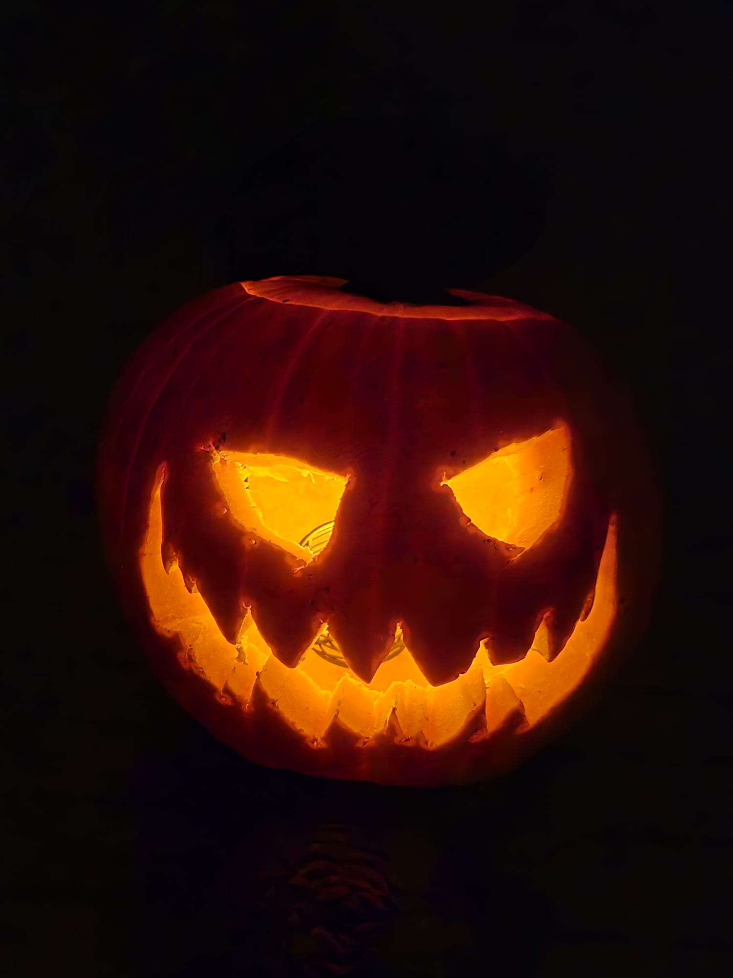 Kürbisse von Leano und Emilio Lerch