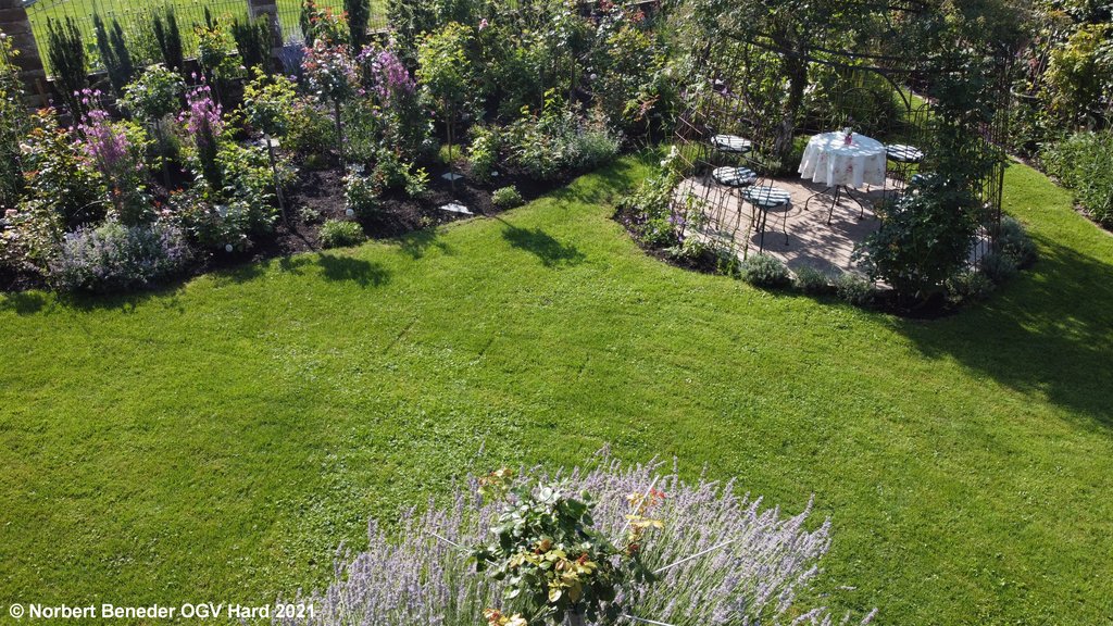 Ortsbewertung OGV Hard