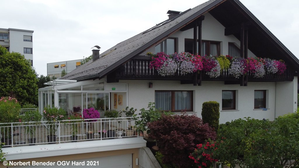 Ortsbewertung OGV Hard