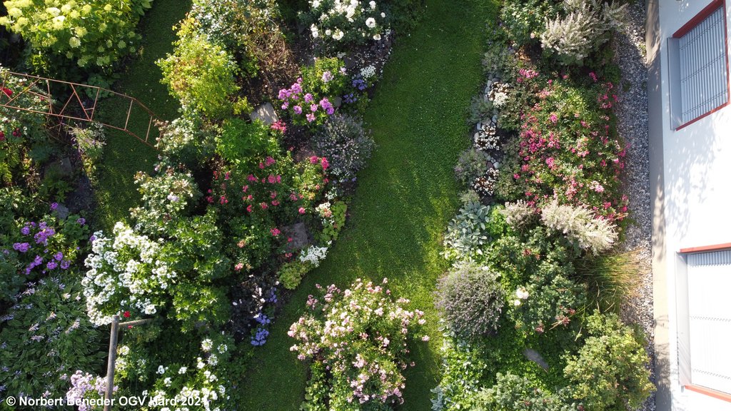 Ortsbewertung OGV Hard