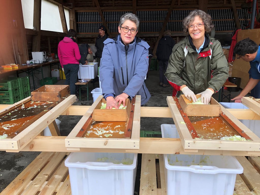 Bildrecht: OGV-Hörbranz