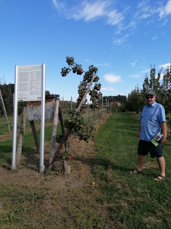 Thomas Filler aus Hörbranz, Organisator der Obstbaumaktion